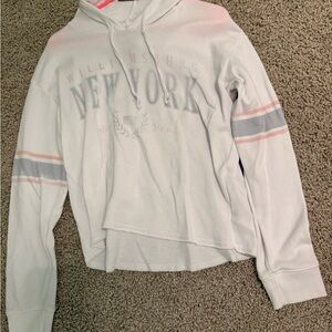 American Eagle Outfitters Cropped Hoodie